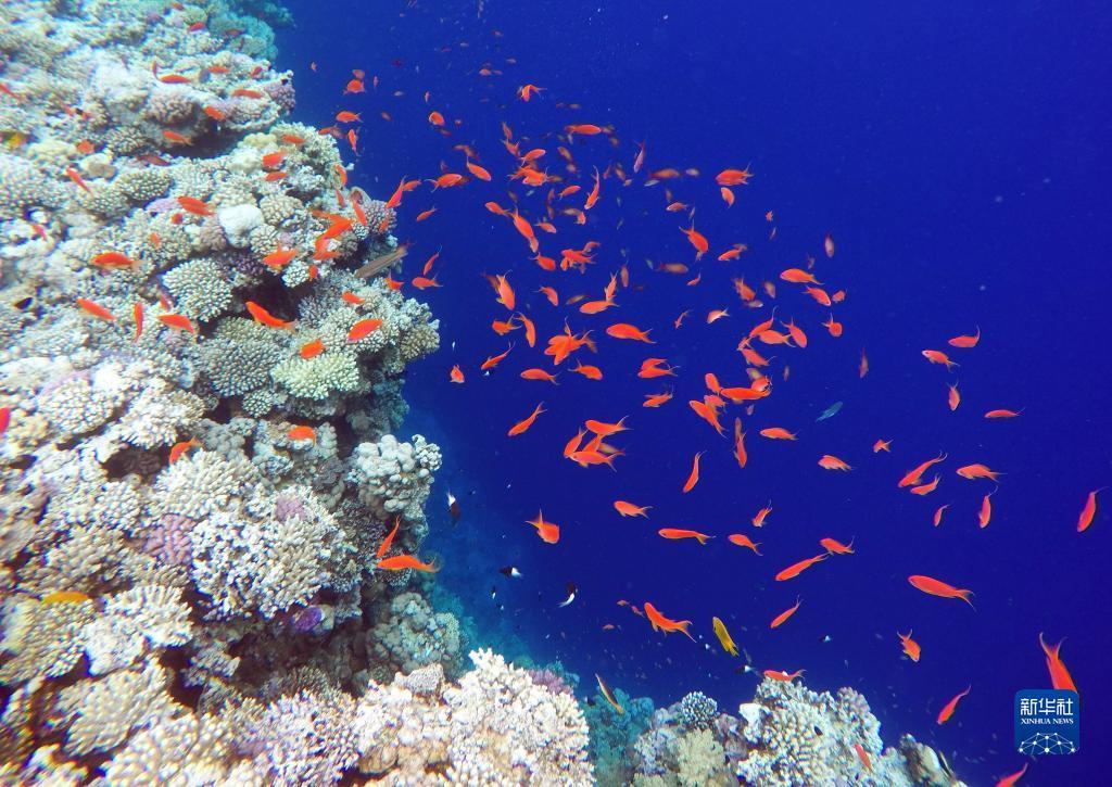 永利电脑下载